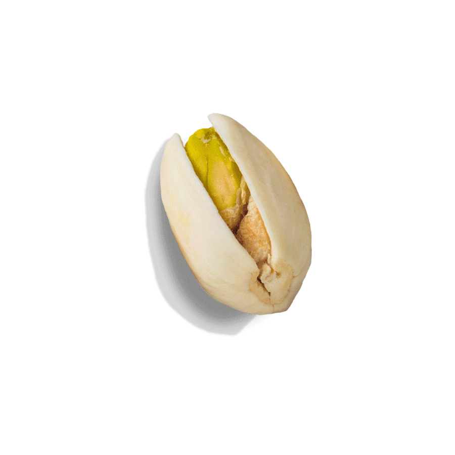 Creative Pistachio Illustration